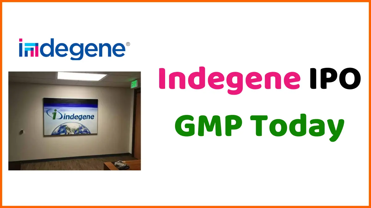 Indegene IPO GMP Today